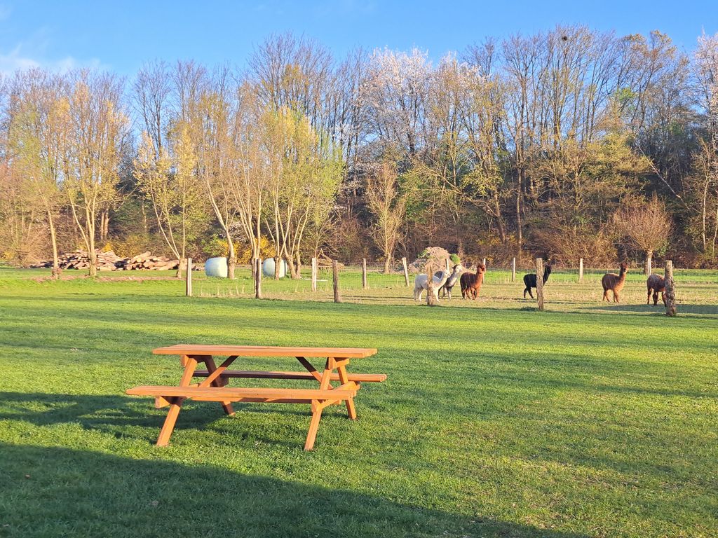 Campamento con tienda en la granja: Relajarse en plena naturaleza