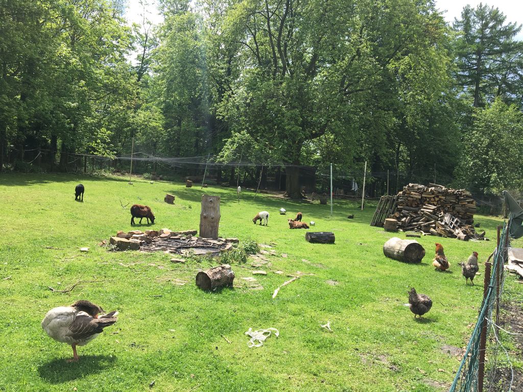 Camping privé au pied du Buckeberg
