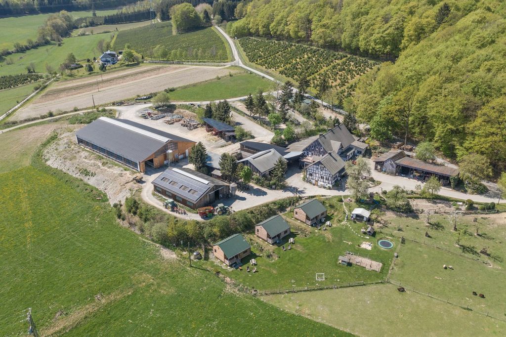 Glamping in urigen Holzhütten am Wald
