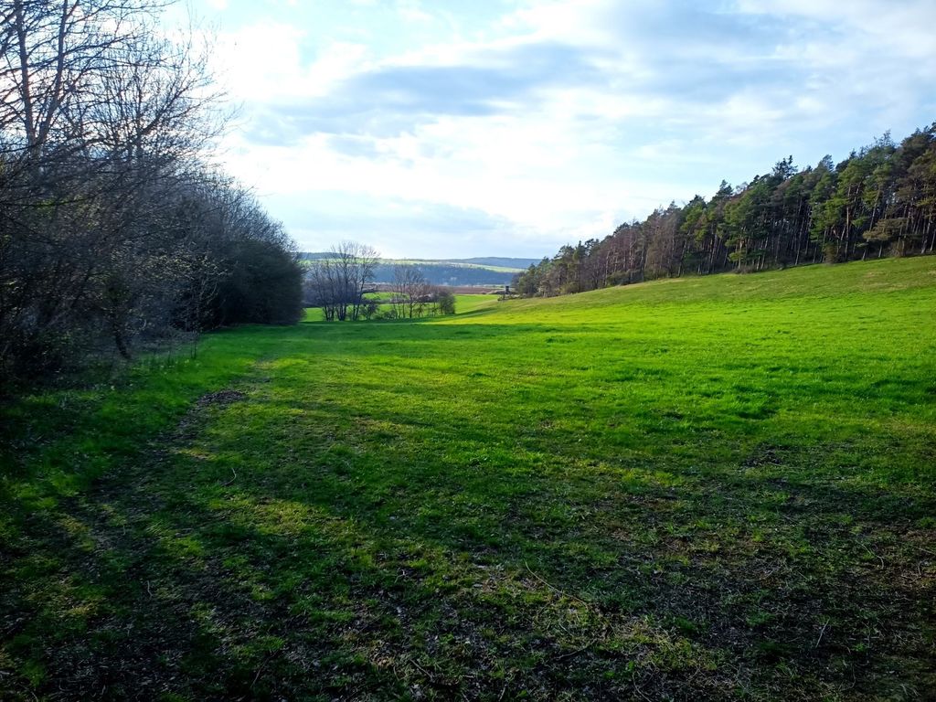A quiet little meadow for camping