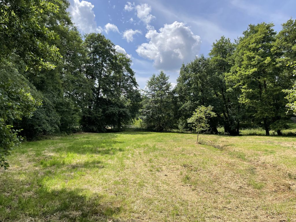 Time out in wild meadow in the Soest Valley
