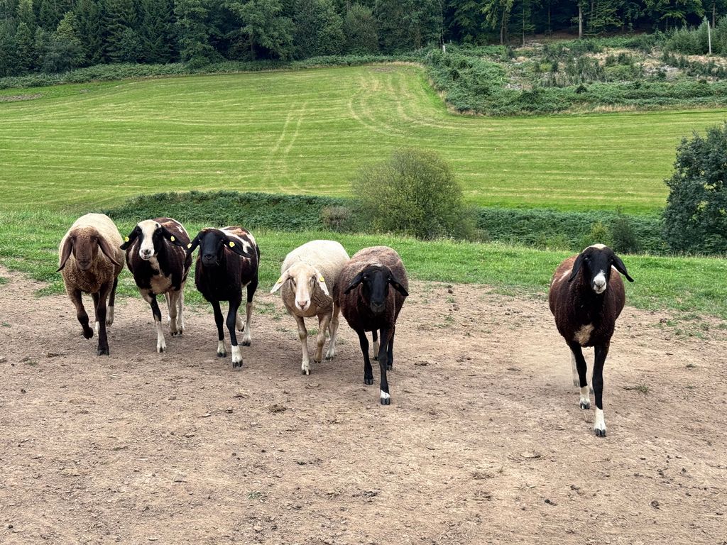 Reiterhof mit Blick über das Bergische Land
