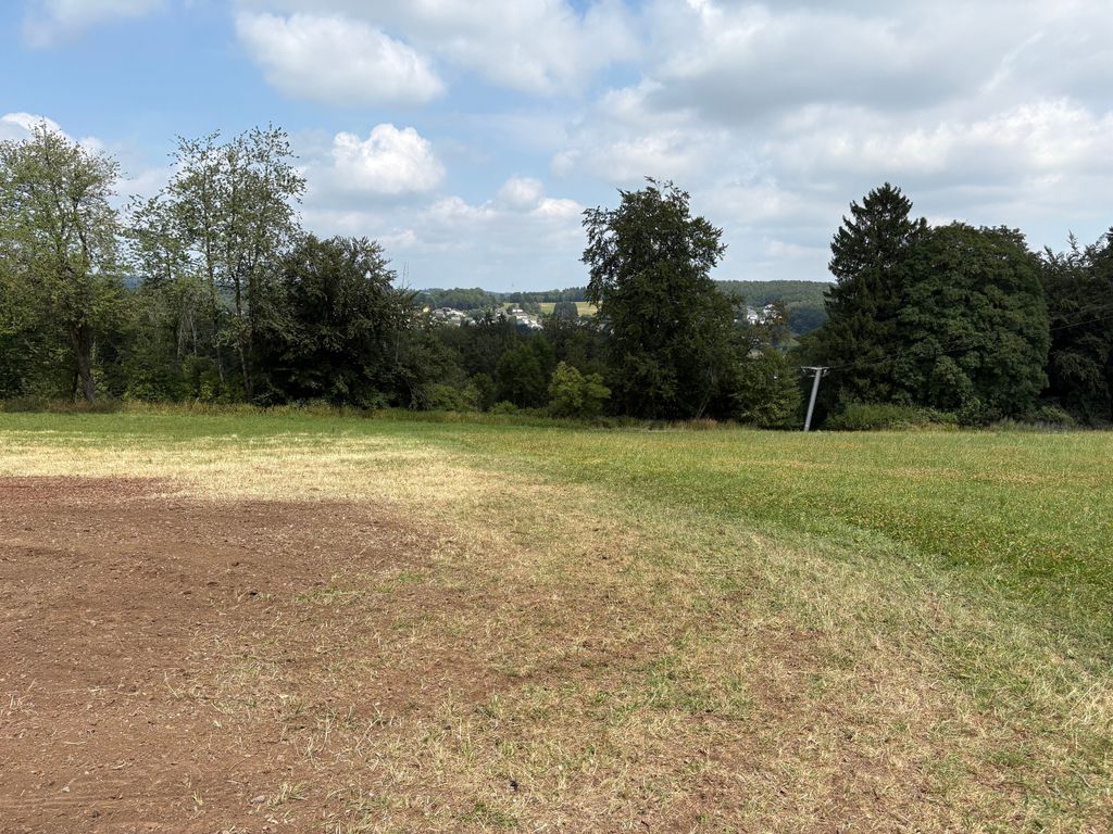 Idyllische Obstwiese am Waldrand im Westerwald
