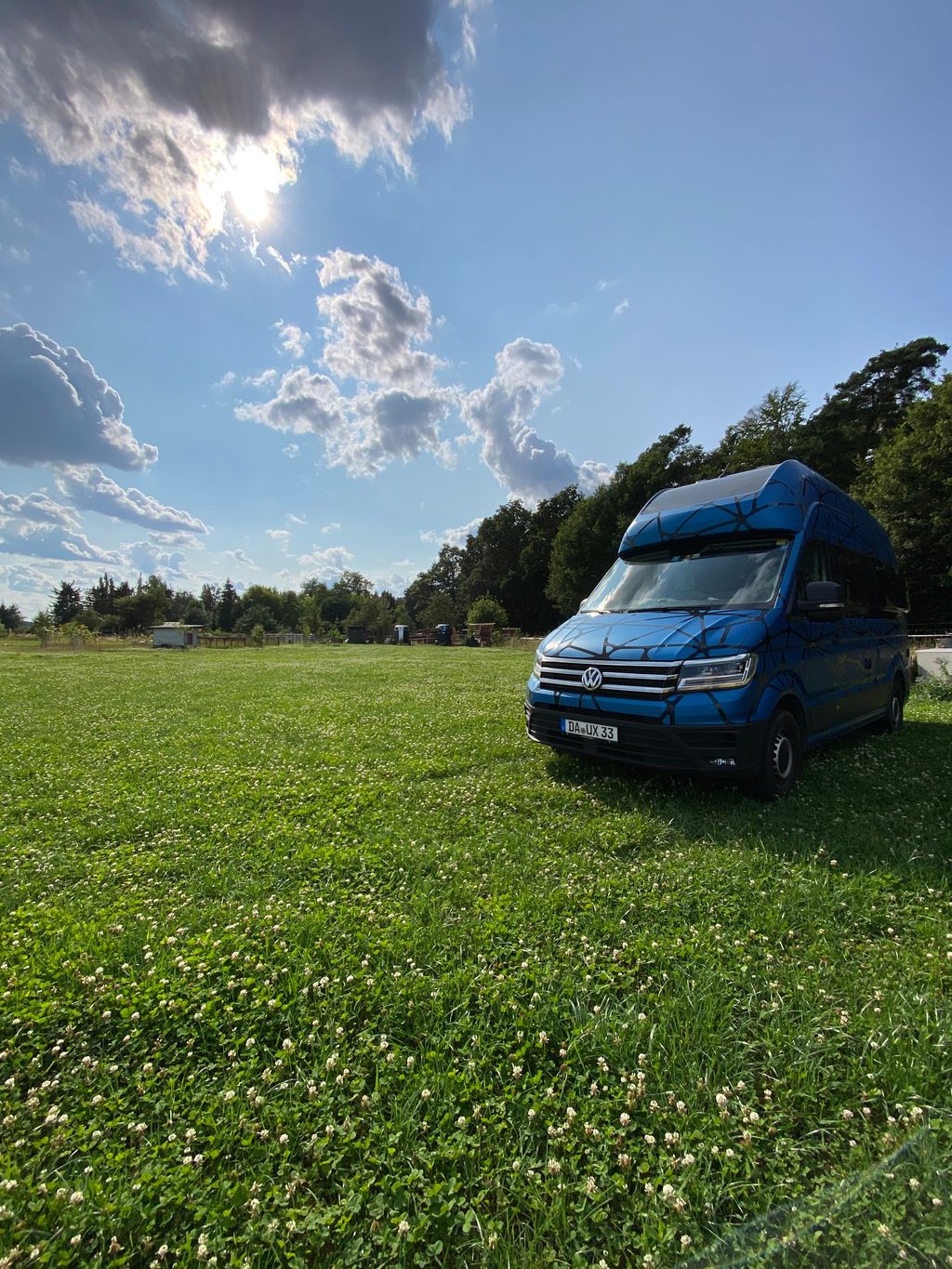 Wiese am Waldrand