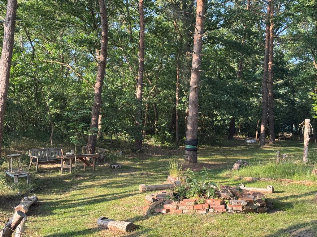 Waldstellplatz in idyllischer Naturlage 