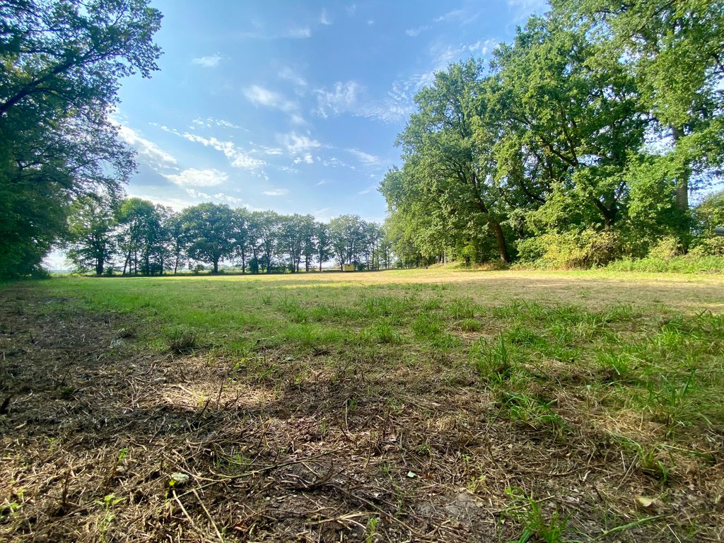 Idyllic meadow by the Tieberteich pond in a secluded location