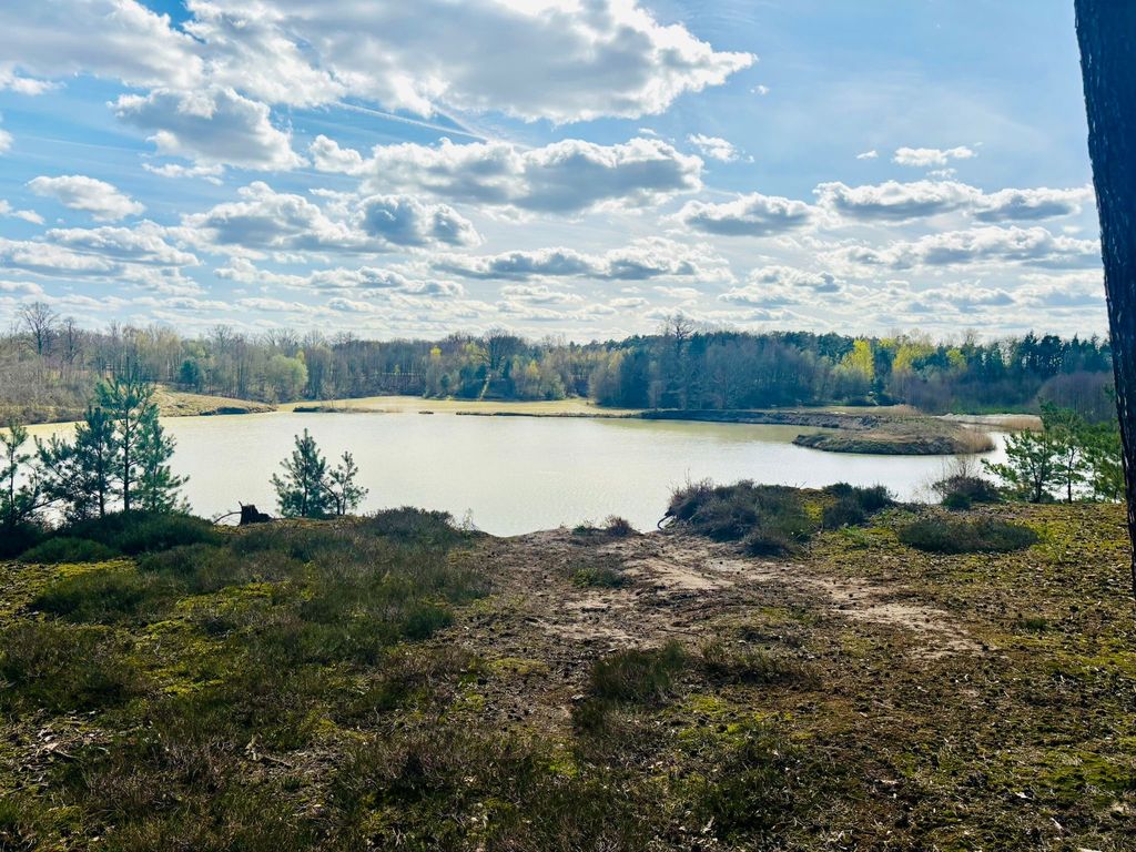 Campeggio vicino al laghetto di una cava verde in mezzo alla natura