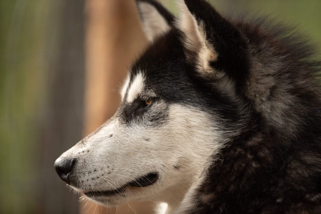 Bauernhof inmitten der schwedischen Natur 