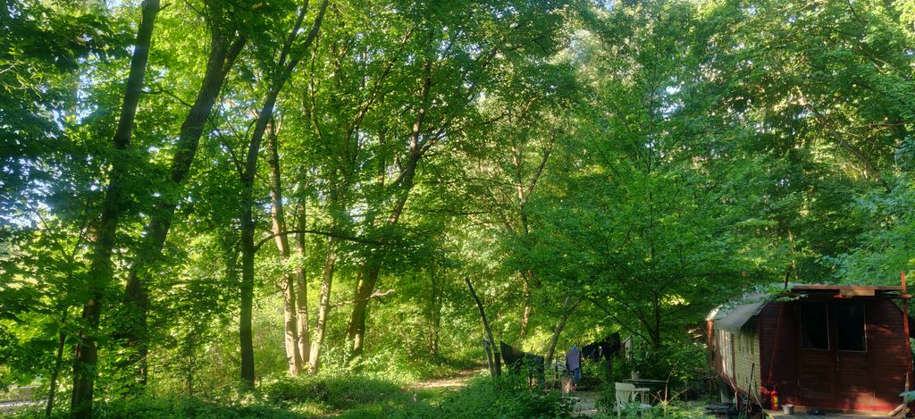 Zirkuswagen am Finowkanal in Eberswalde