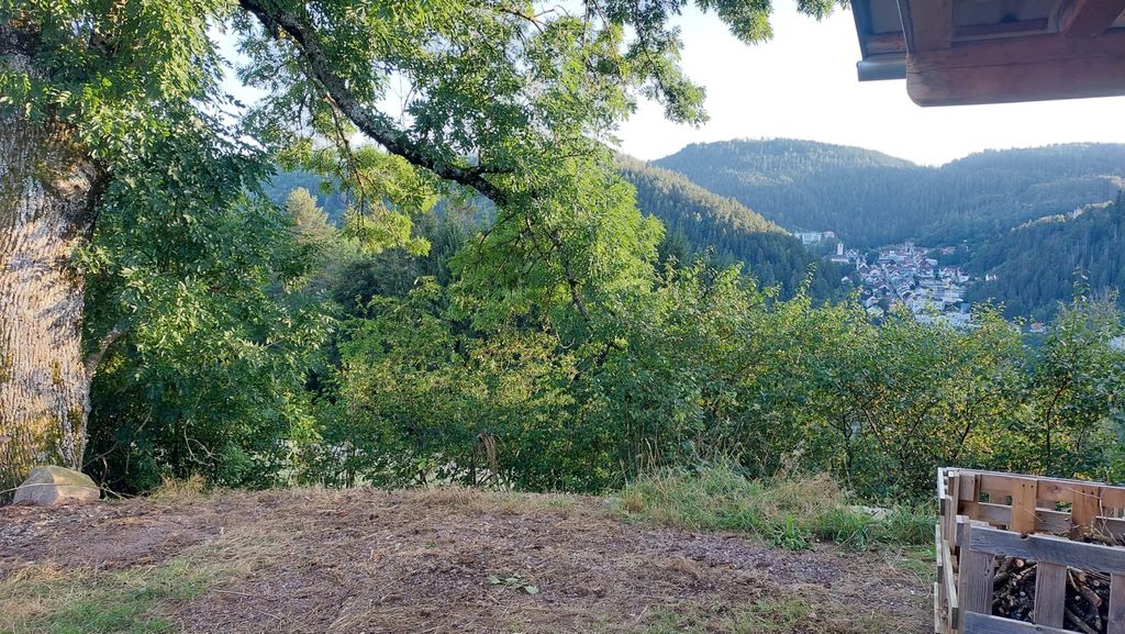 La Forêt-Noire à l'état pur : situation isolée avec une vue magnifique