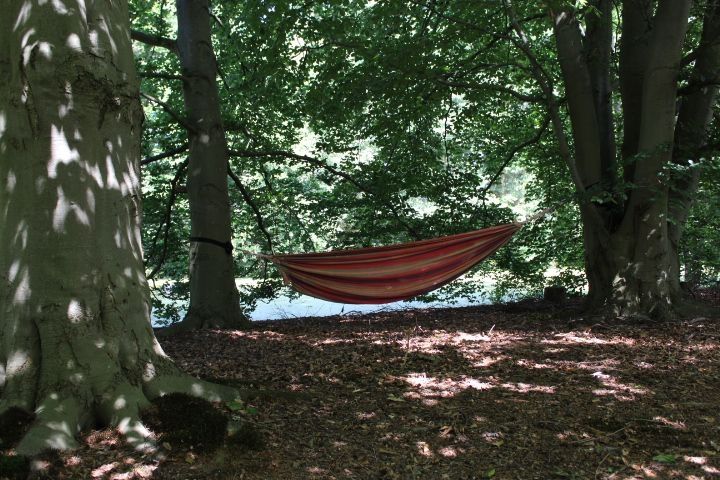 Naturparadies in der Nähe von Lüneburg mit Teich