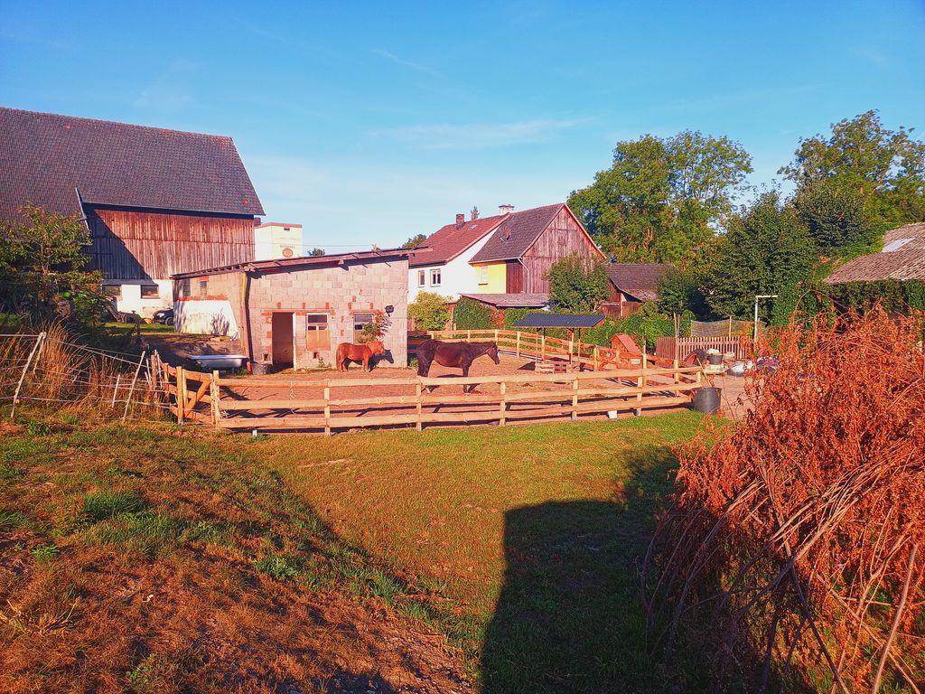 Prato per famiglie: pony, parco giochi e tranquillità