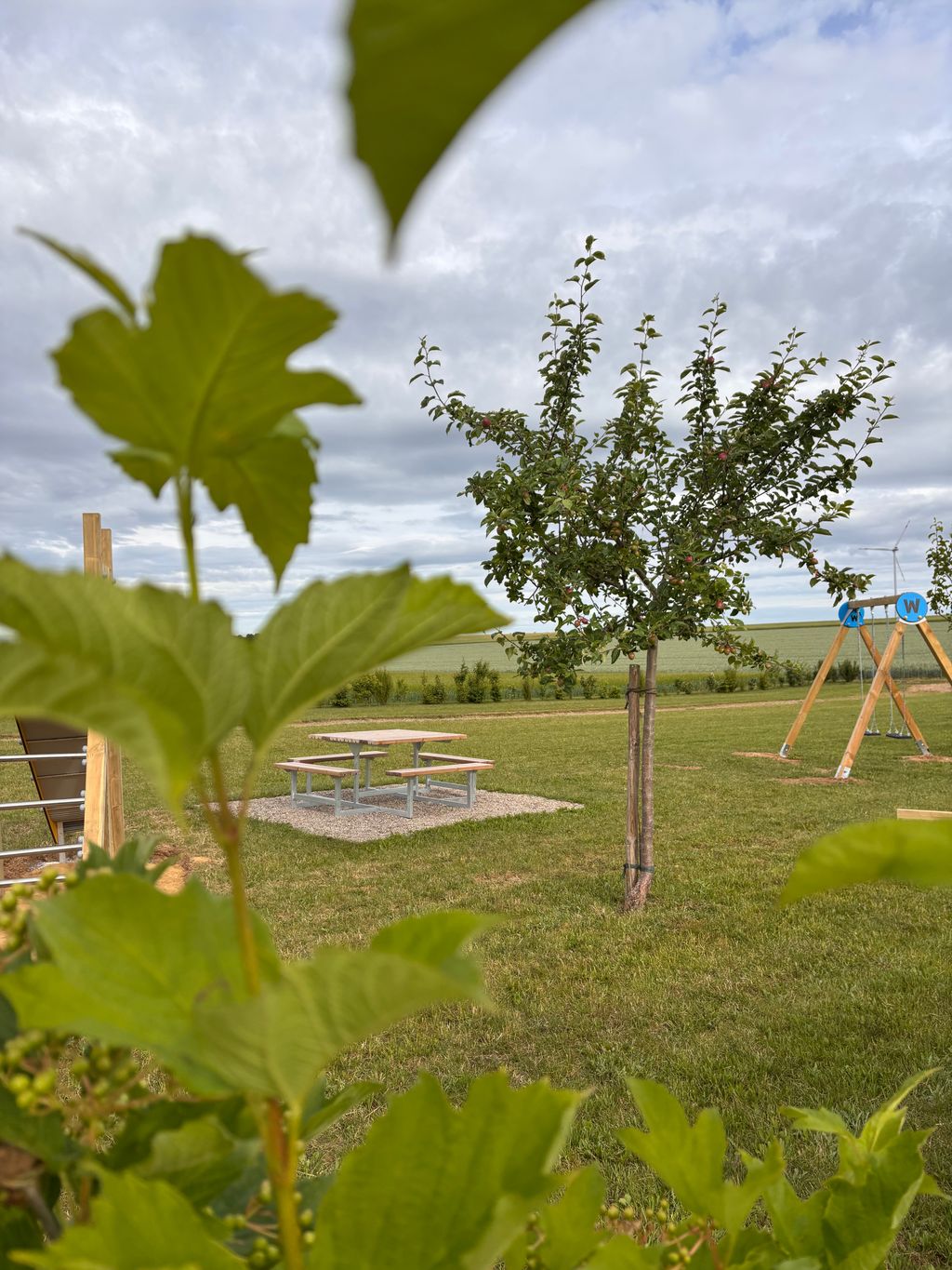 Acampada en la finca vinícola