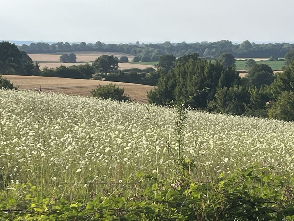 Blick auf die Hohwachter Bucht