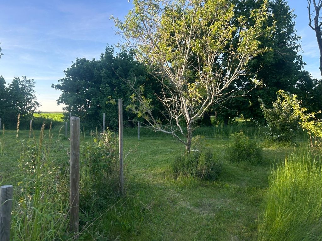 Idyllic campsite in the Müritz National Park 
