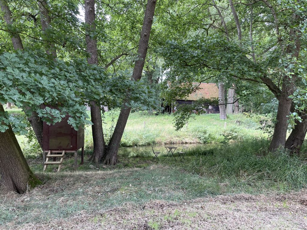 Time out in wild meadow in the Soest Valley