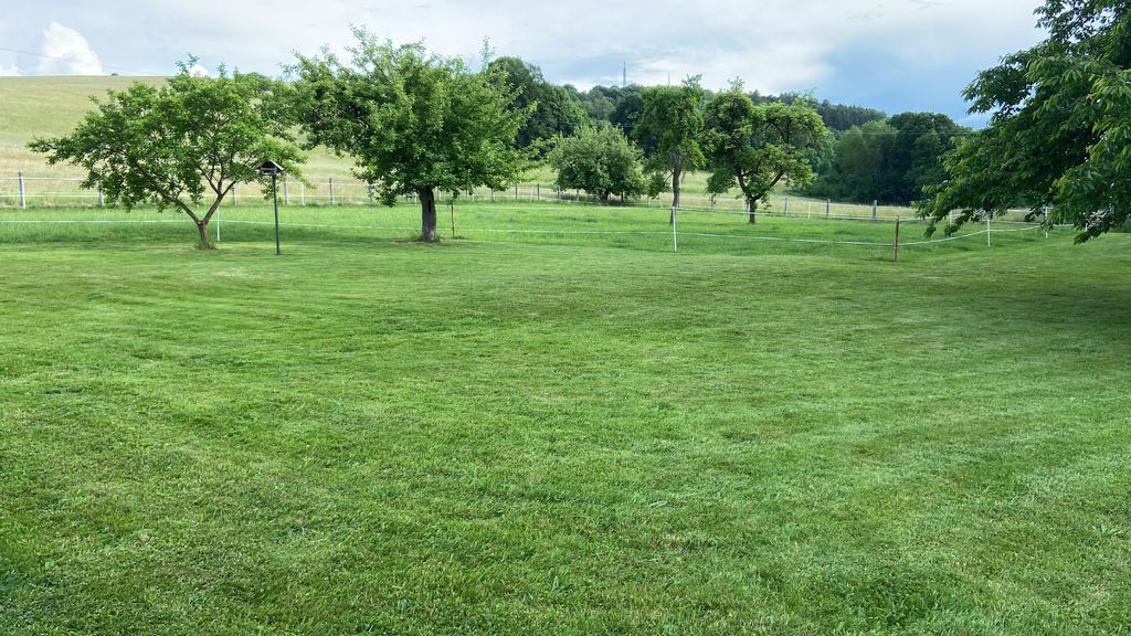 Meadow with far-reaching views of the Thuringian Forest