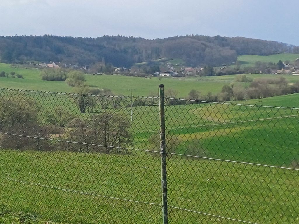In the garden at the foot of the Donnersberg