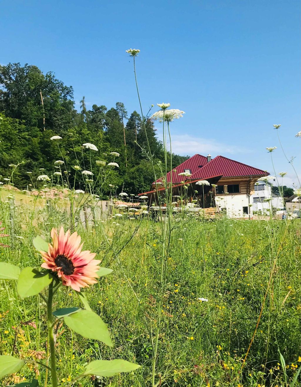 At the log cabin in the Spessart on the edge of the forest