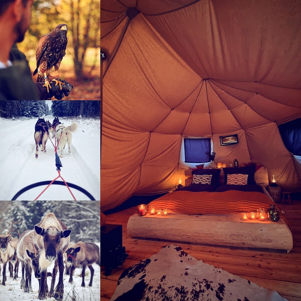 Glamping im Rentiergehege