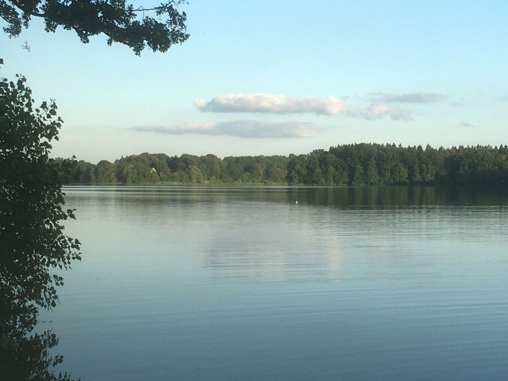 Tiny House am Buchenwald - Minimalismus am See