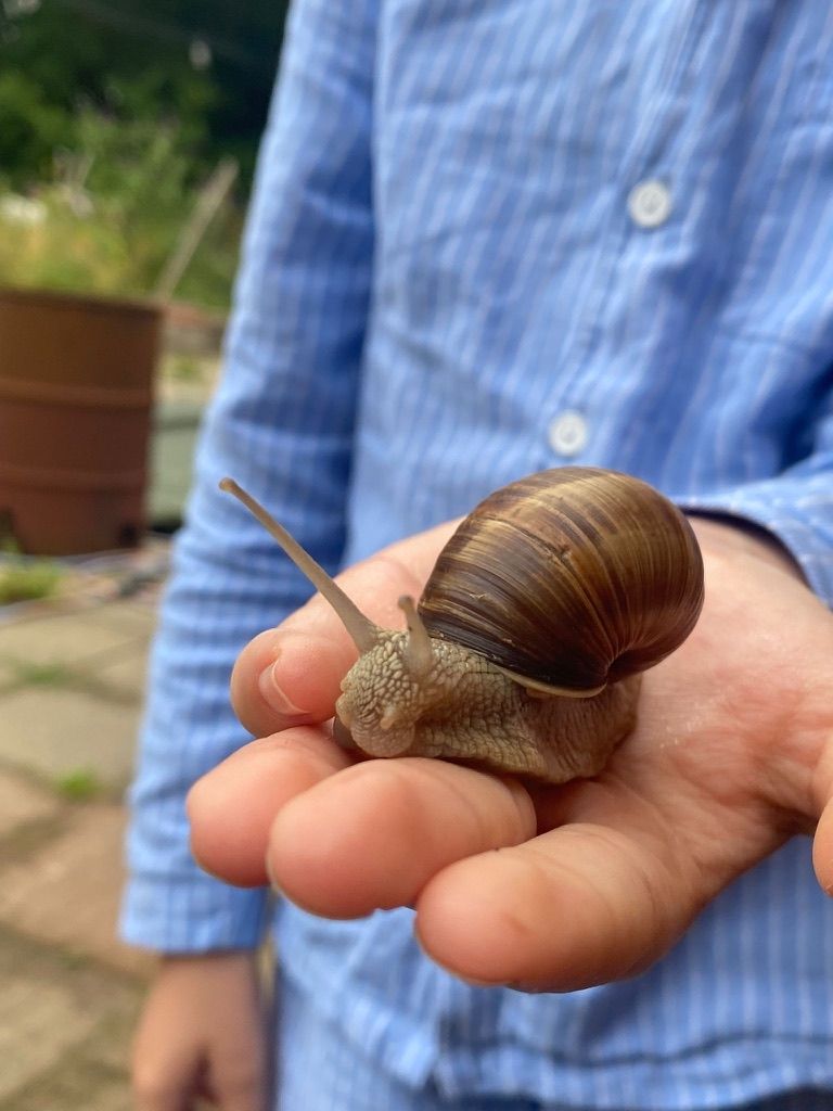 Iglucraft dans le parc naturel de Wendland, près de l'Elbe