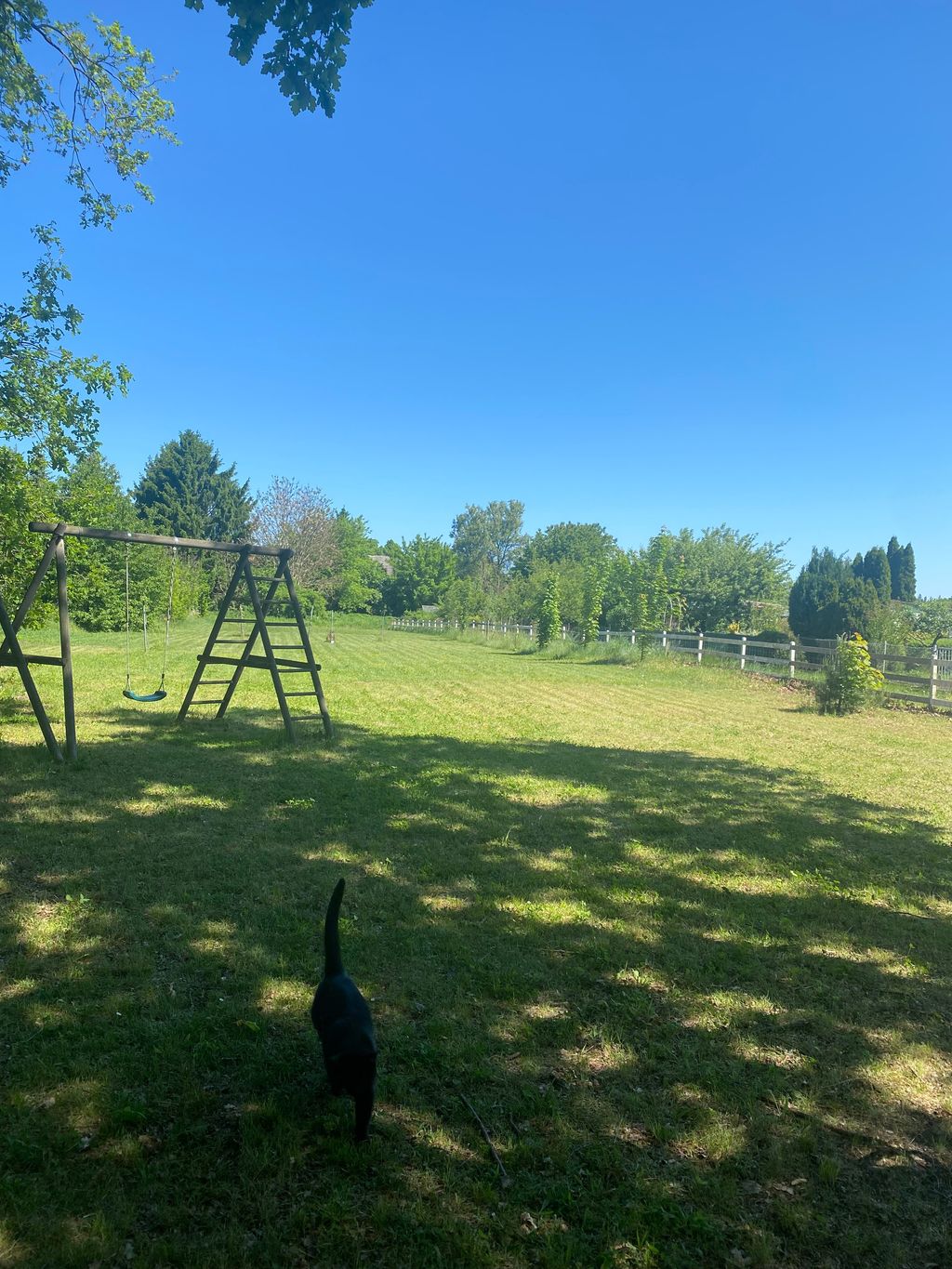 Zwischen Feldern in der Lausitz