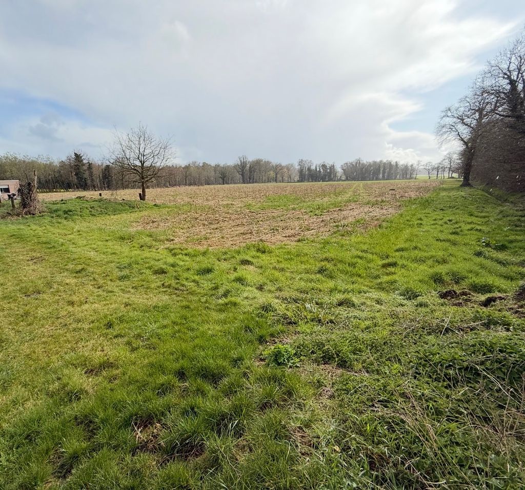 Alpaka Hideaway – Aire de camping sauvage sur le chemin de Compostelle