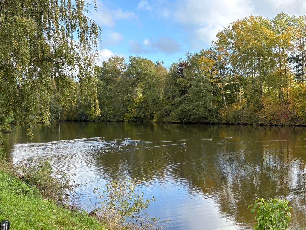 Camping au bord du lac dans le Hunsrück : un cadre naturel idyllique au bord de l'eau