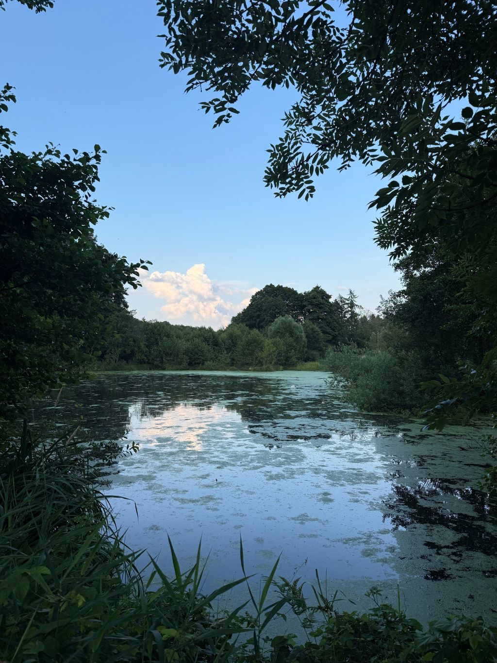 Nature Camping in the Heidekreis: Campsite by the Pond