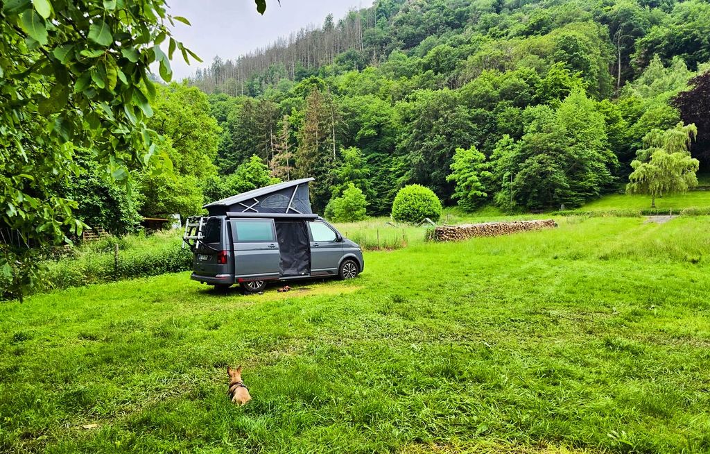 Vacances dans la plus belle vallée latérale de la Moyenne Moselle