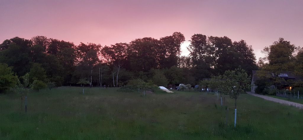 Camping zwischen Wald und Zivilisation