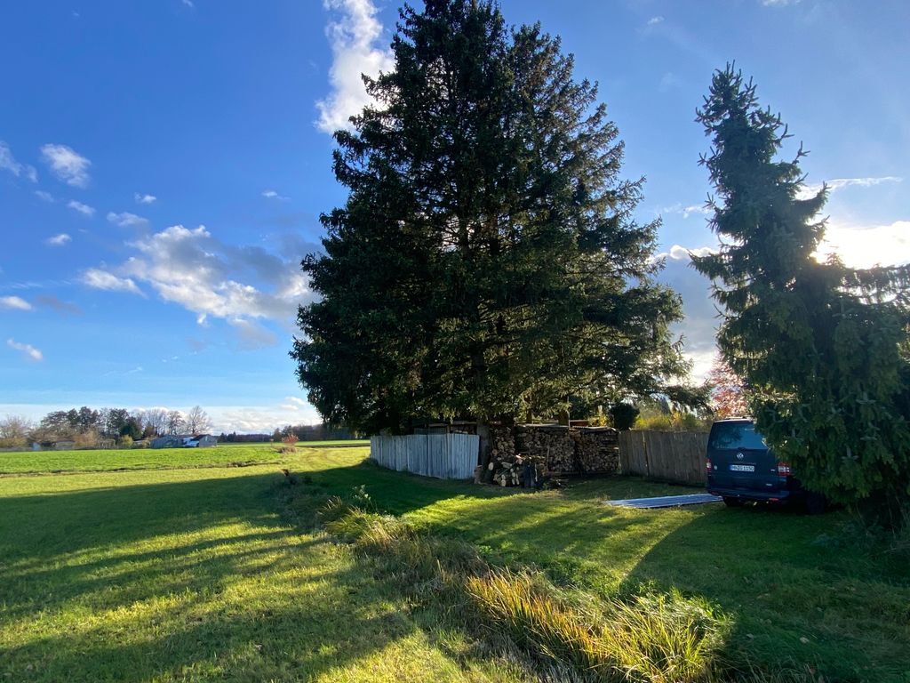 Alleinlage am Rand eines Niedermoores