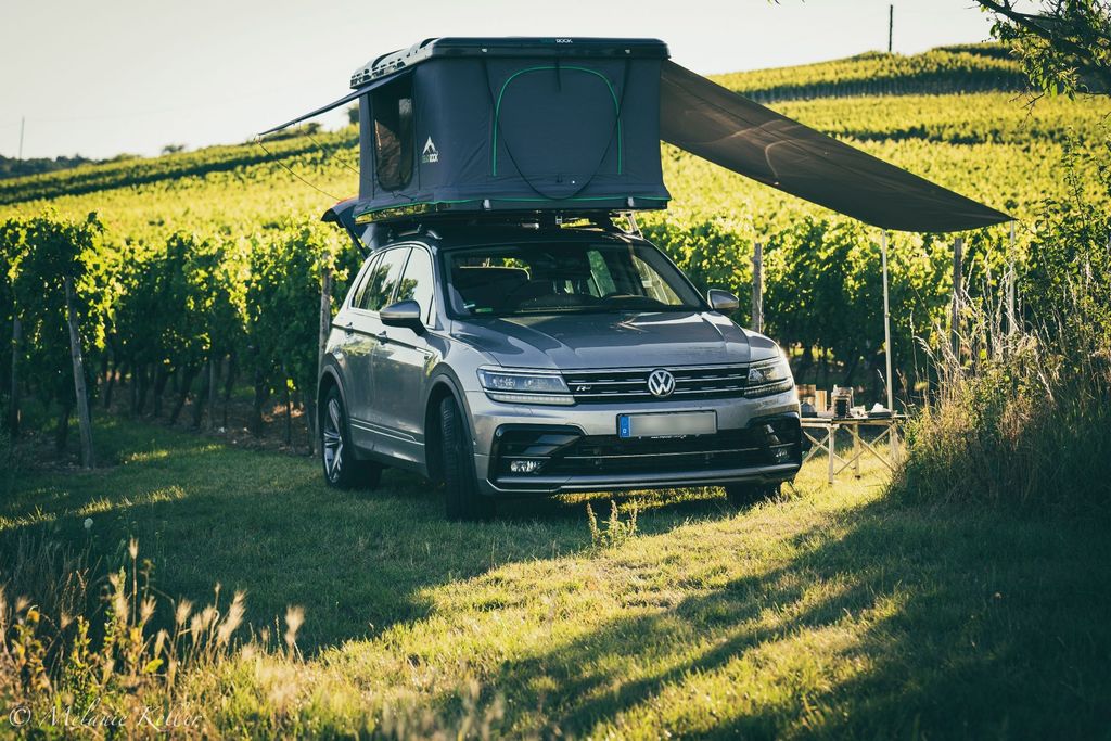 Domaine viticole dans les vignobles