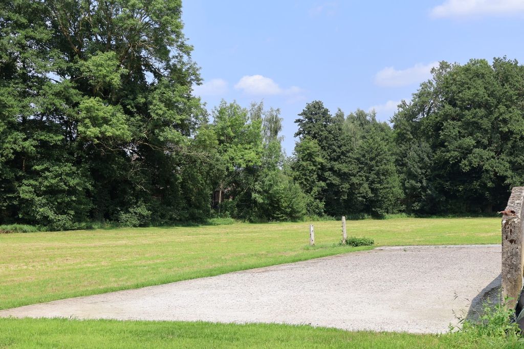 Posto direttamente sul prato degli alpaca