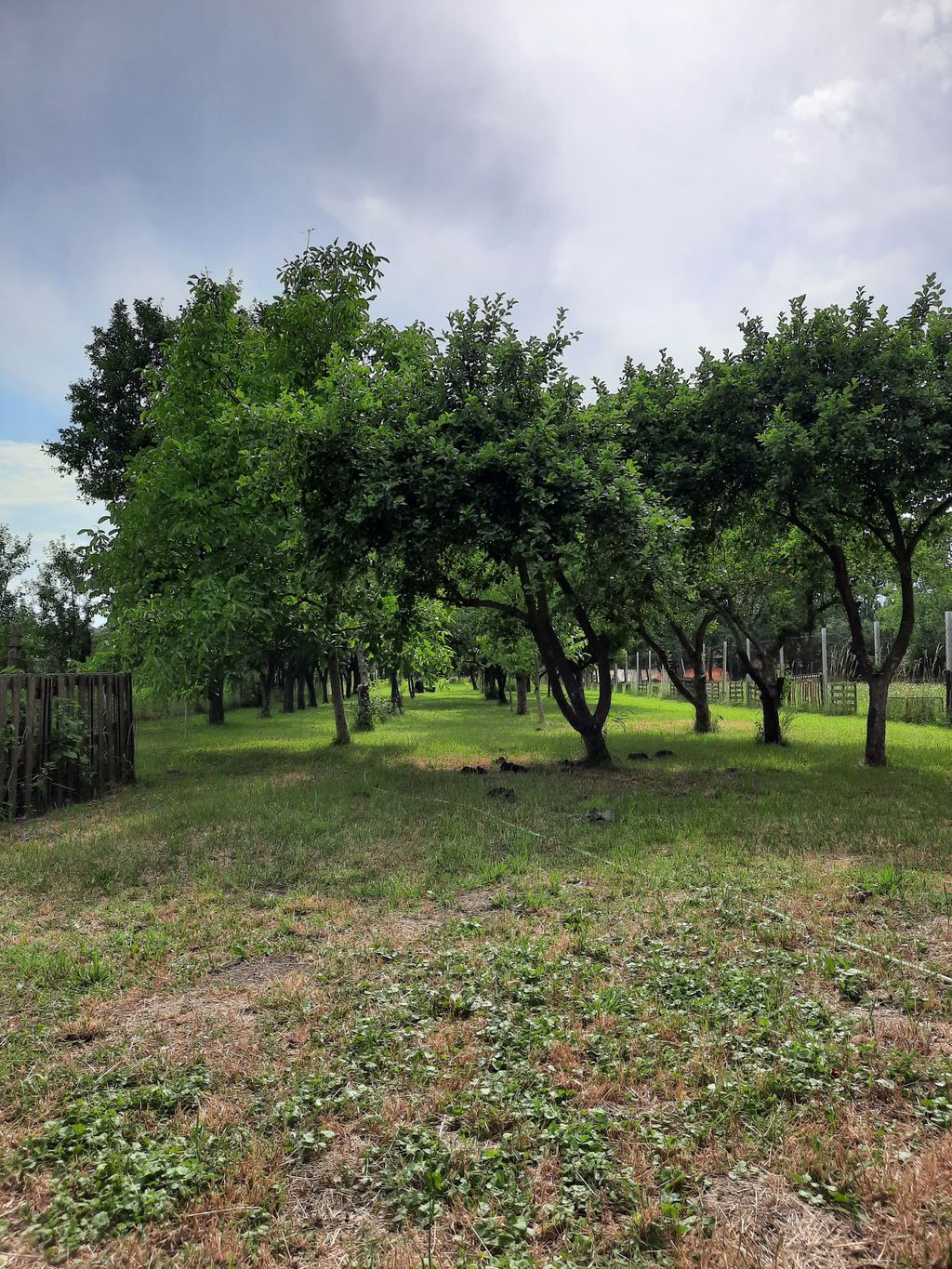 Time out in Hungary - idyll in the countryside