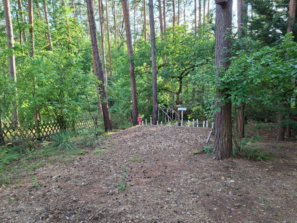 Entre pins sylvestres et landes – à seulement 300 m du lac
