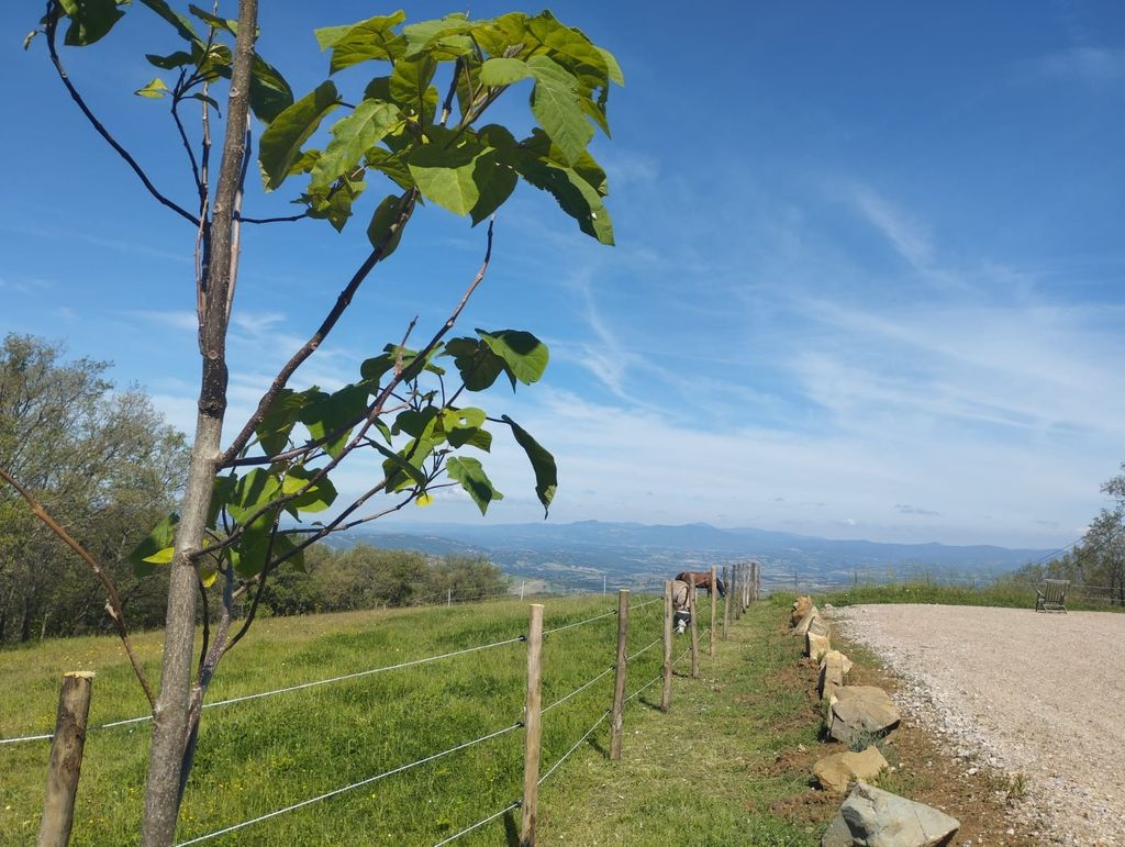 Un site panoramique entre la Maremme et le Val d'Orcia