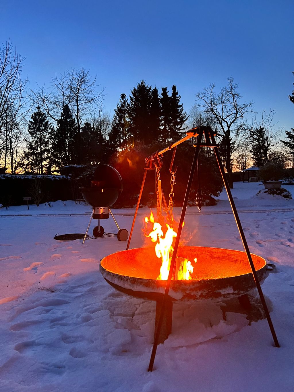 Parcela junto a caballos detrás de la casa