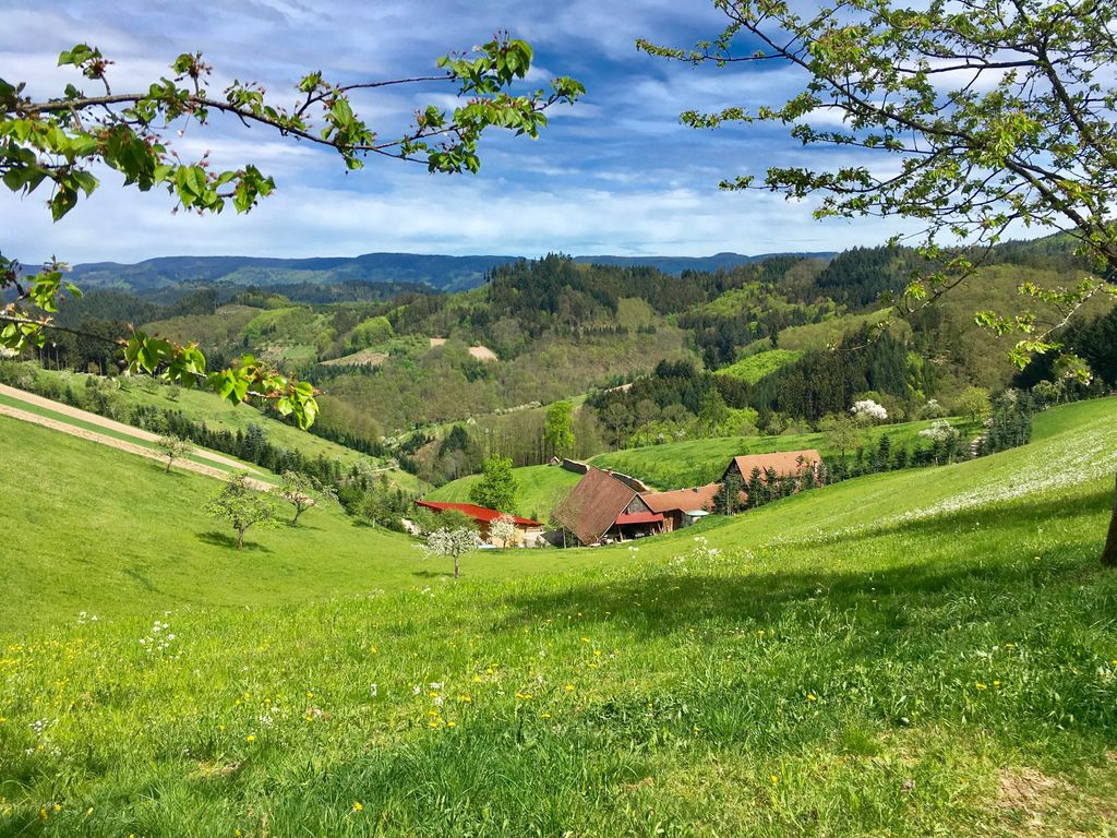 Bauernhoferlebnis, do sage Fuxs und Has gudnochd