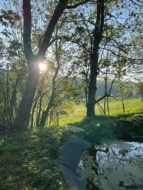 Landliebe Heiligenberg in der Bodenseeregion