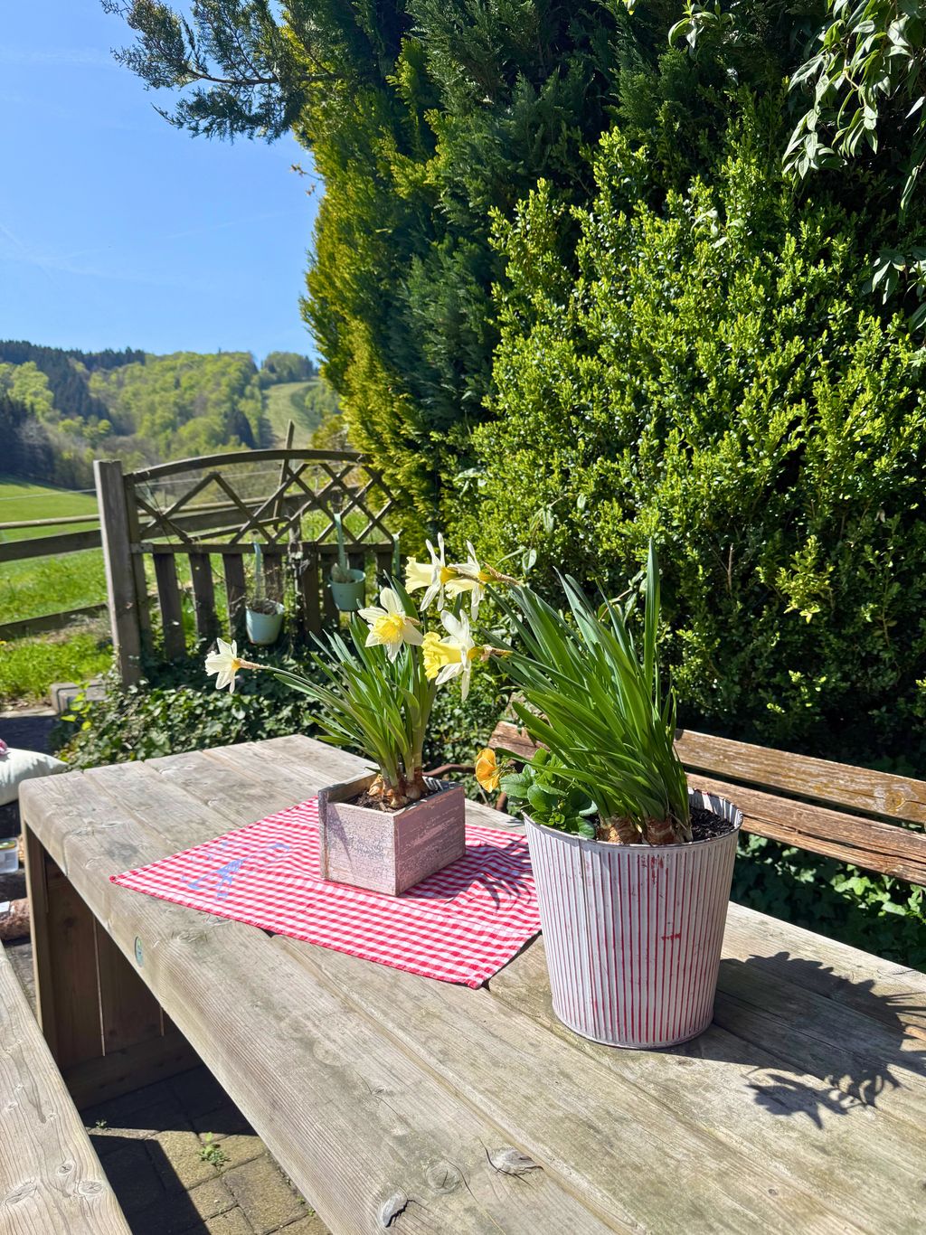 Aparcamiento natural Am Kamp