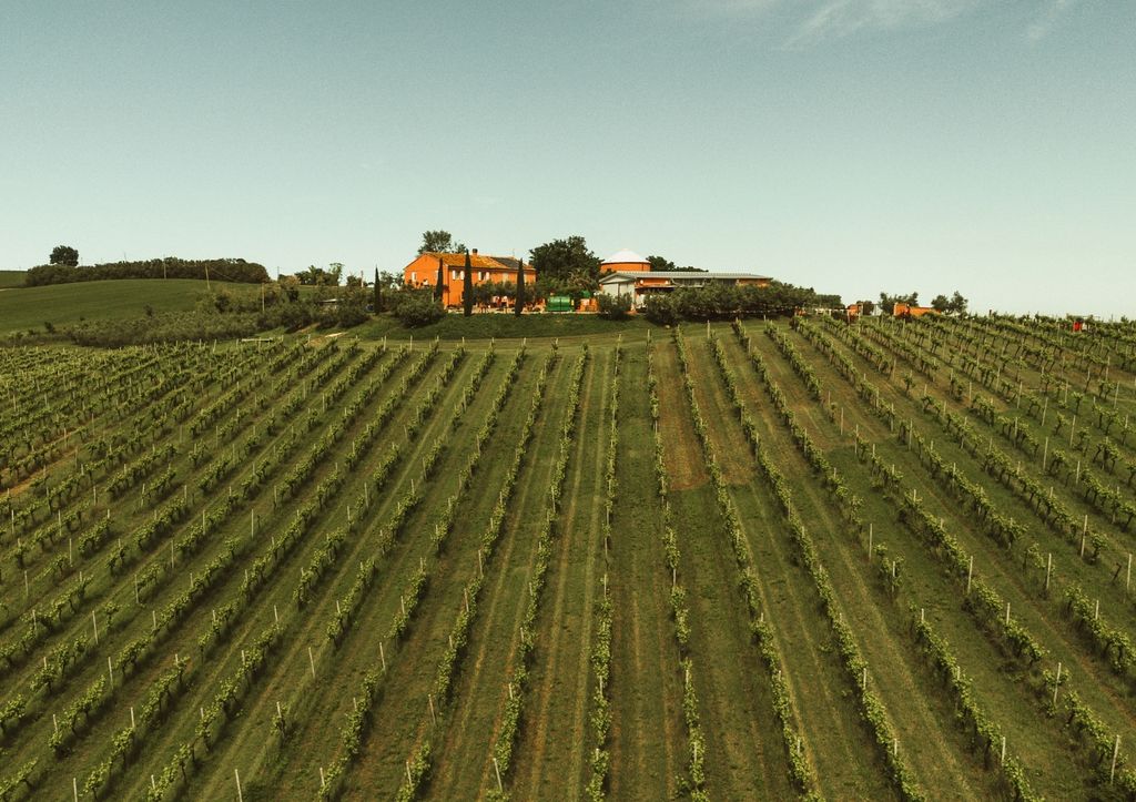 Emplacements dans le vignoble