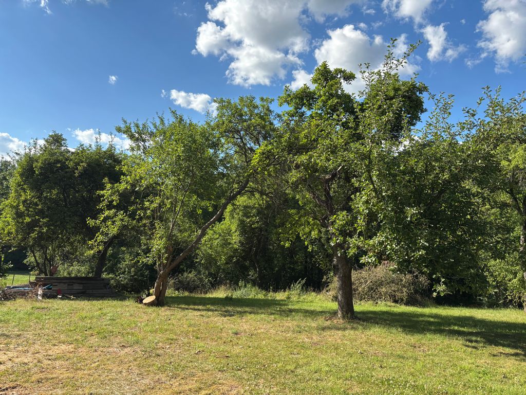 Camping en un lugar apartado, rodeado de árboles frutales
