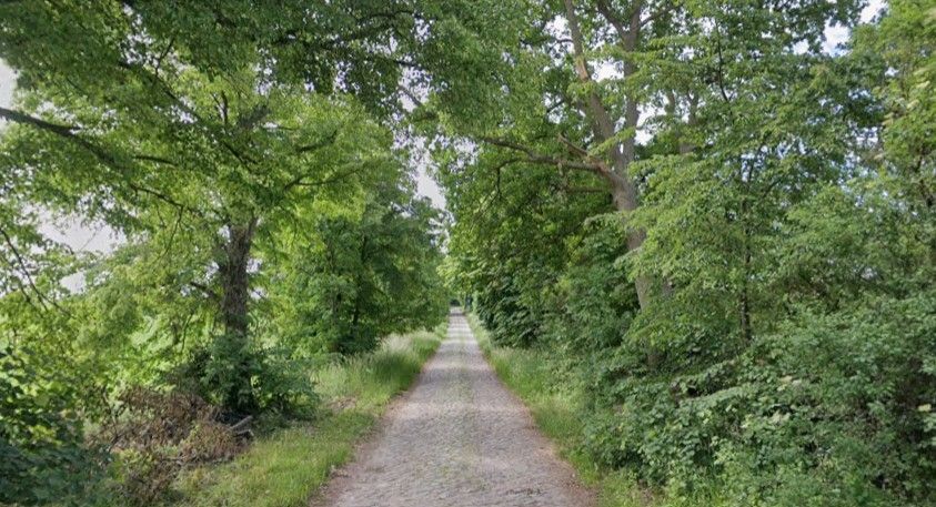 Erholung und Natur auf der Streuobstwiese 