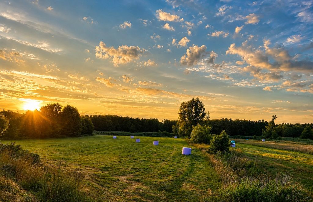 Farm Camp on the “Amazon of the North”