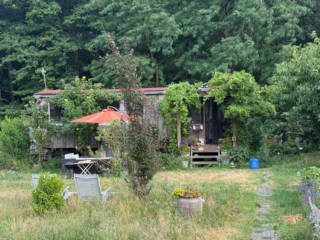 Biete einen Platz am Waldrand in schönem Garten