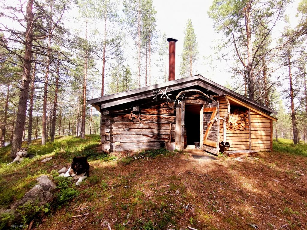 Log cabin in absolute wilderness - "lonely lynx".