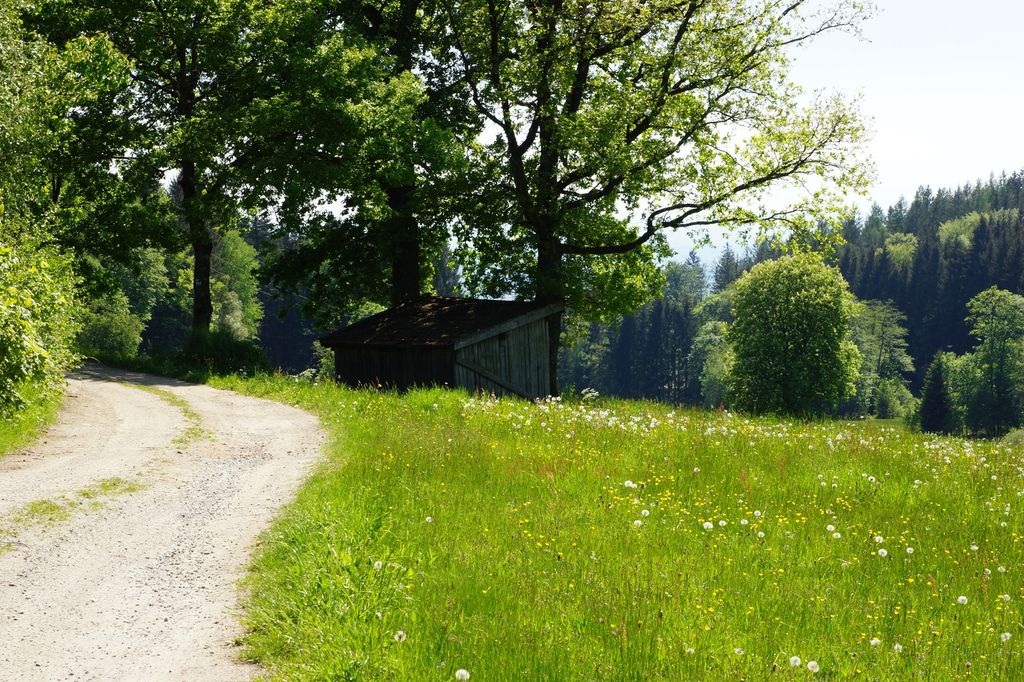 Natur hautnah mit allen Sinnen erleben- 2 Personen