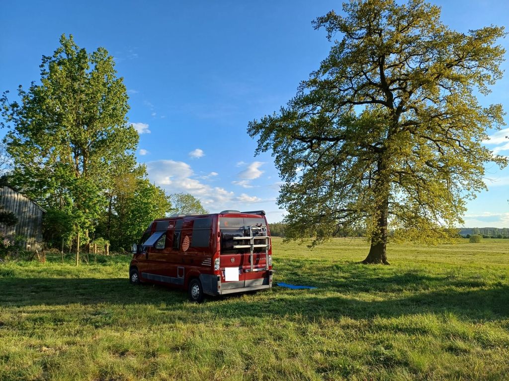 Campeggio sull'isola della foresta
